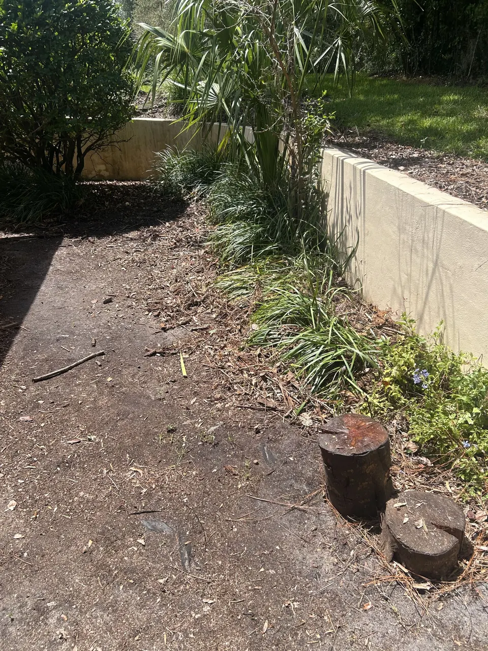 Yard Debris Cleanup after Stack’s JUNK Removal completed the work