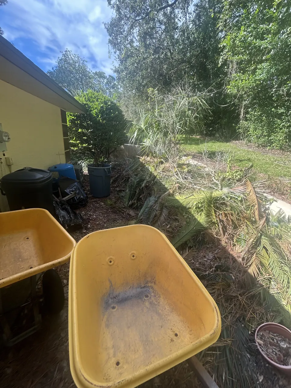 Yard Debris Cleanup before Stack’s JUNK Removal completed the work